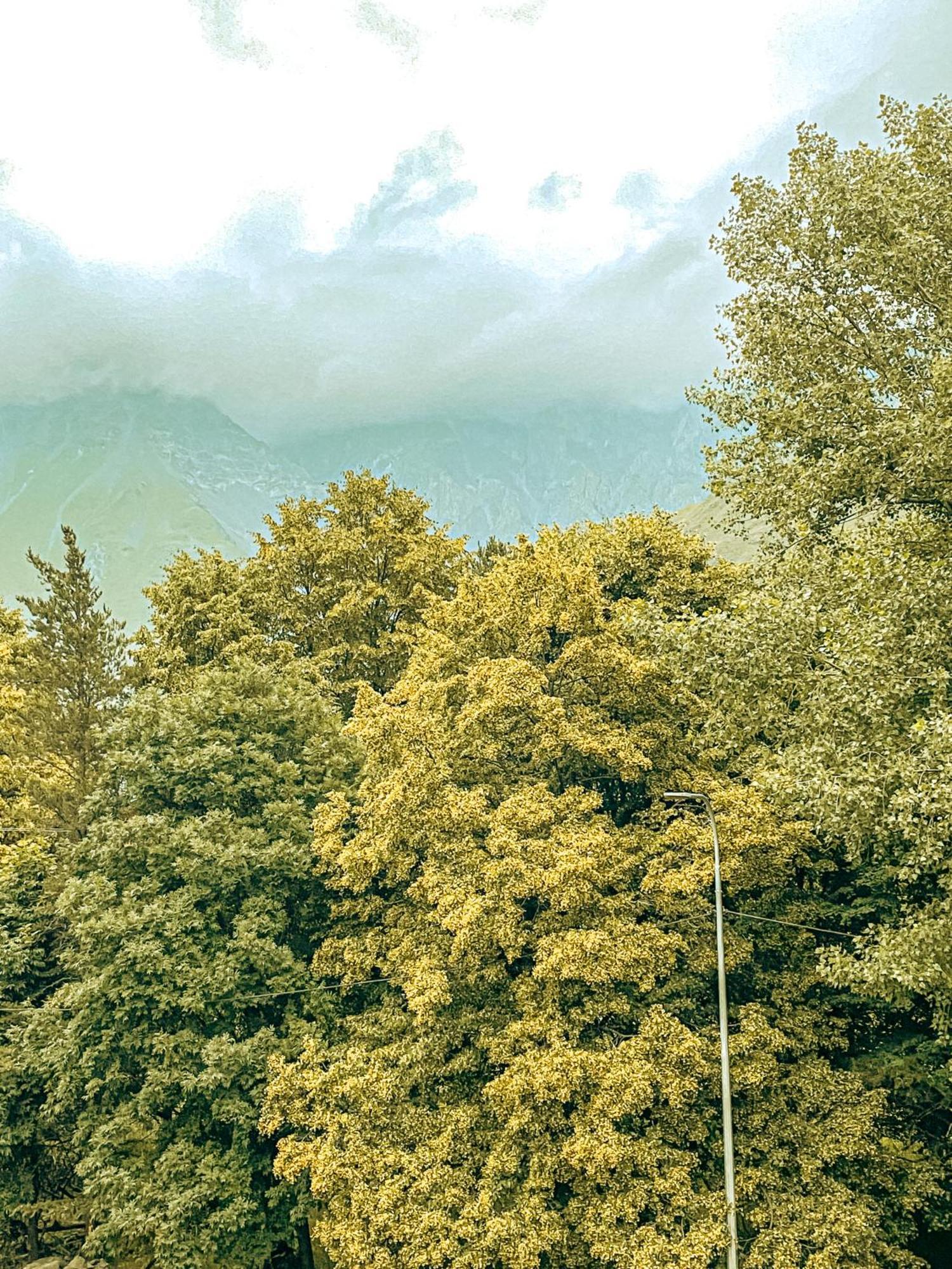 Hotel Gold Kazbegi Bagian luar foto
