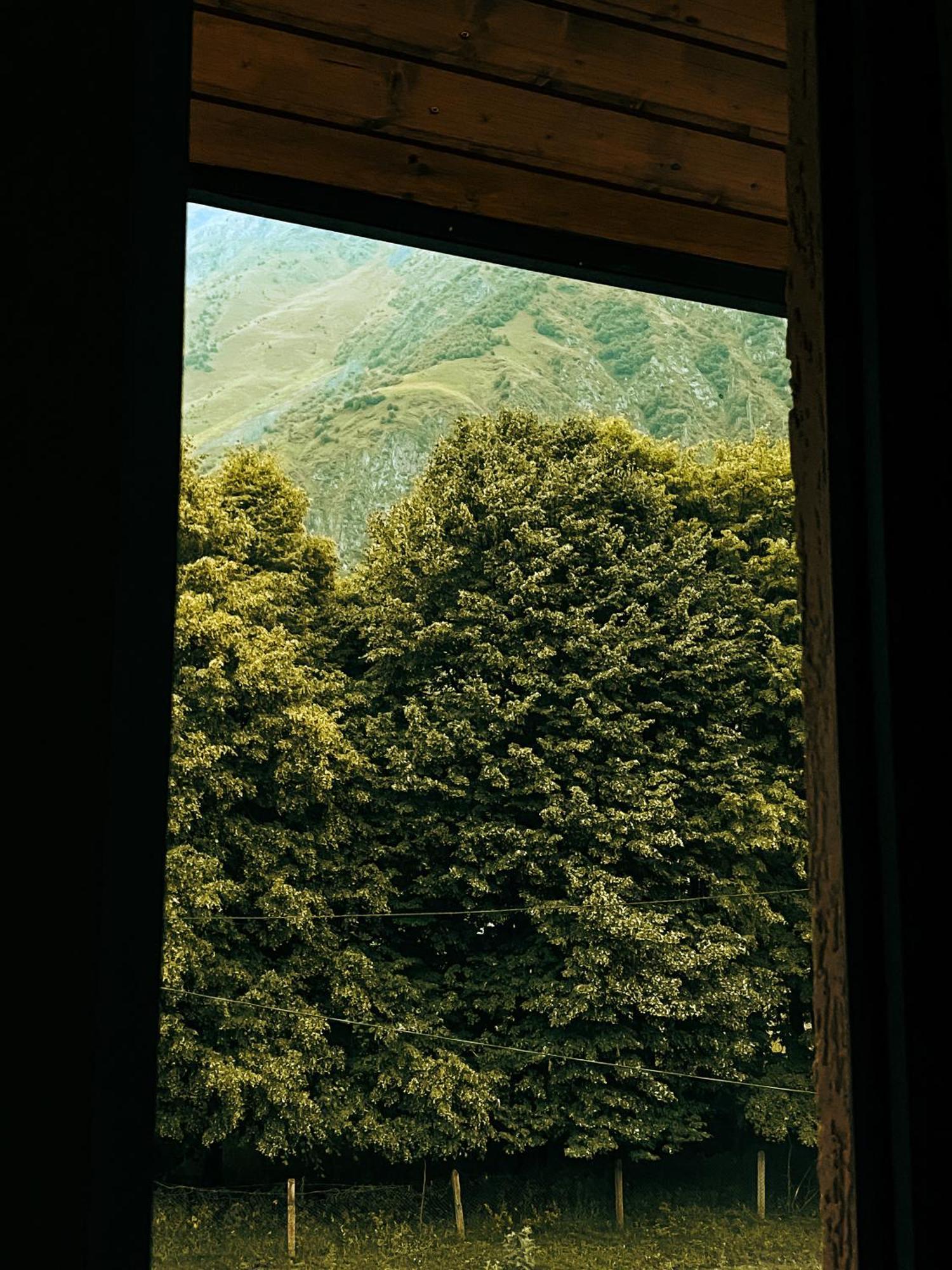 Hotel Gold Kazbegi Bagian luar foto